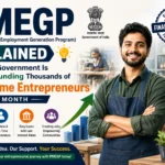 PMEGP(Prime Minister Employment Generation Program)